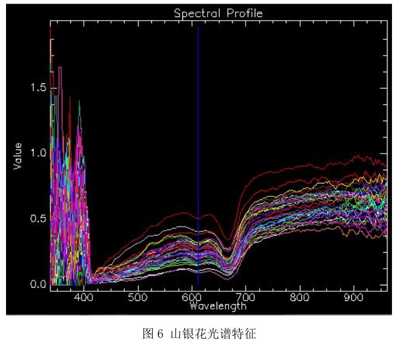 高光譜相機在工業檢測中的應用—金銀花、山銀花中藥材檢測案例